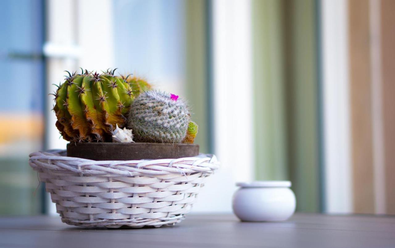 Domina Apartments โมโนโปลี ภายนอก รูปภาพ